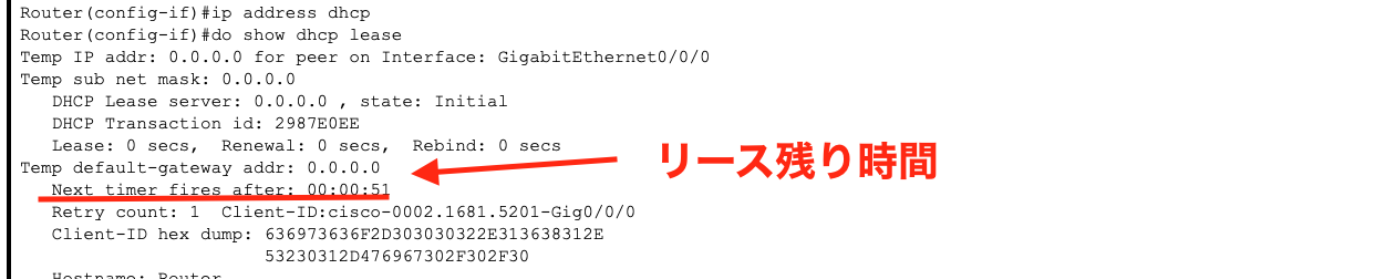 show dhcp lease